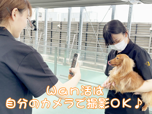 モデル犬たちのためのＷａｎ活♪